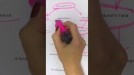 Что делать при задержке менструации?