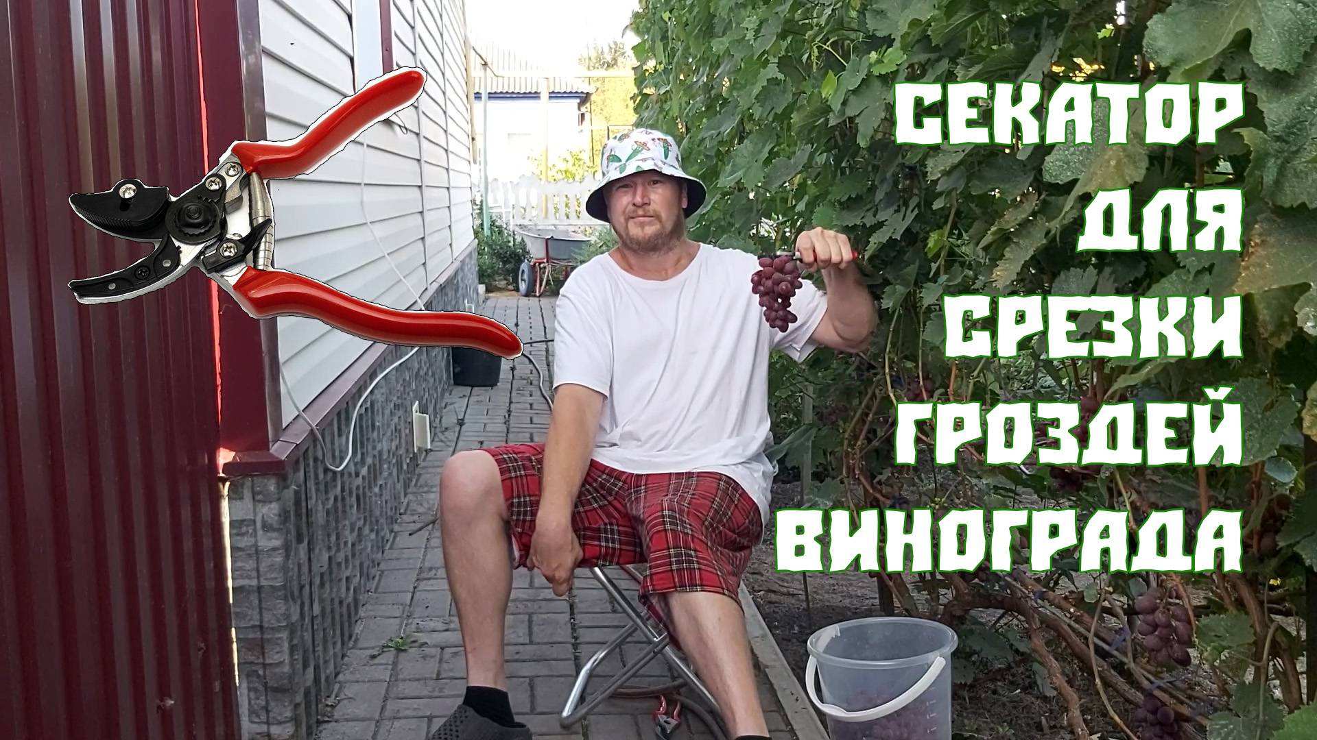 Секатор для срезки гроздей винограда | Секатор | Аллигатор