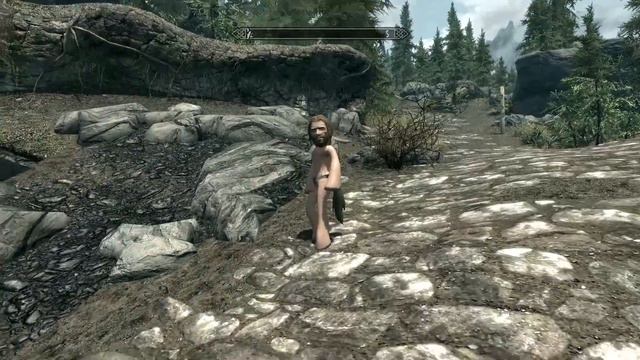 Skyrim - My Little Pony Edition