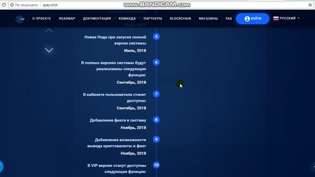 Обзор проекта cPay. | Команда