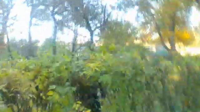 прикол ! кувырок в кусты