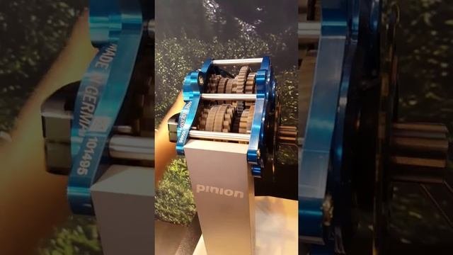 Pinion mountain bike gear system
