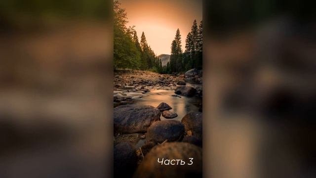 Исполнение Божьей воли. Часть 3. Христианские рассказы