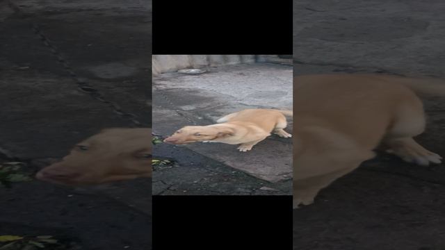 1000001154.mp4