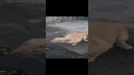 1000001154.mp4