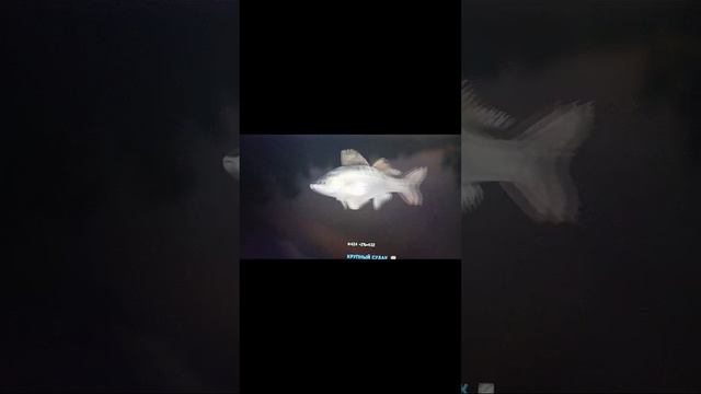 Когда переиграл в Fisher Online