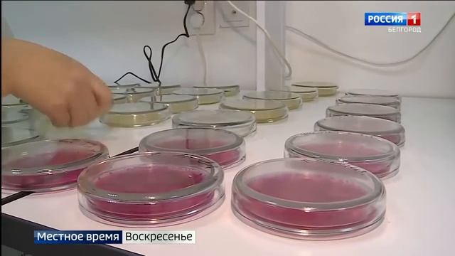 ГТРК Белгород «Местное время  Воскресенье» от 4 октября 2020