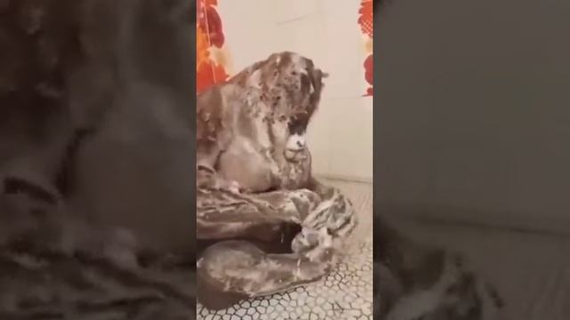 Когда чуть ошибся с заклинанием
