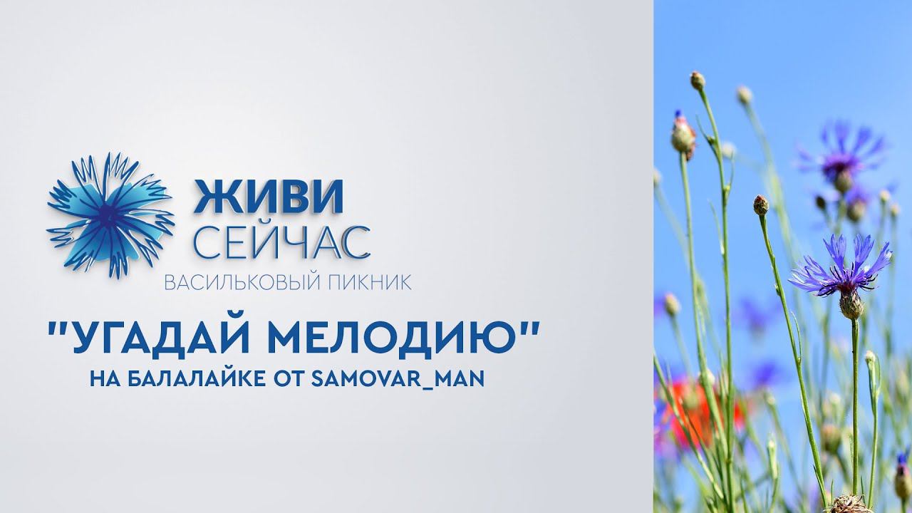 Угадай мелодию на балалайке от SAMOVAR MAN. Васильковый пикник 2020.