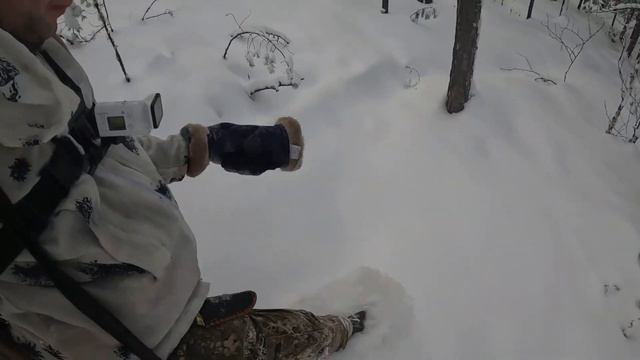 проверка капканов на соболя