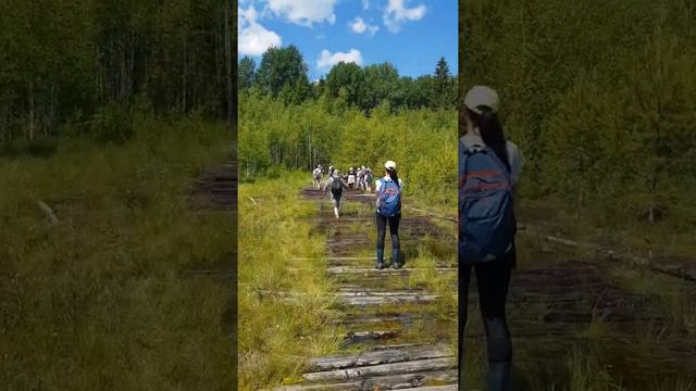 Ельня 26/06/22