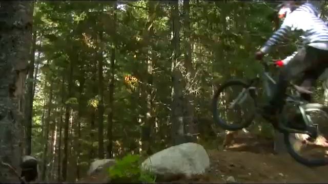 Mtb freeride downhill. HD