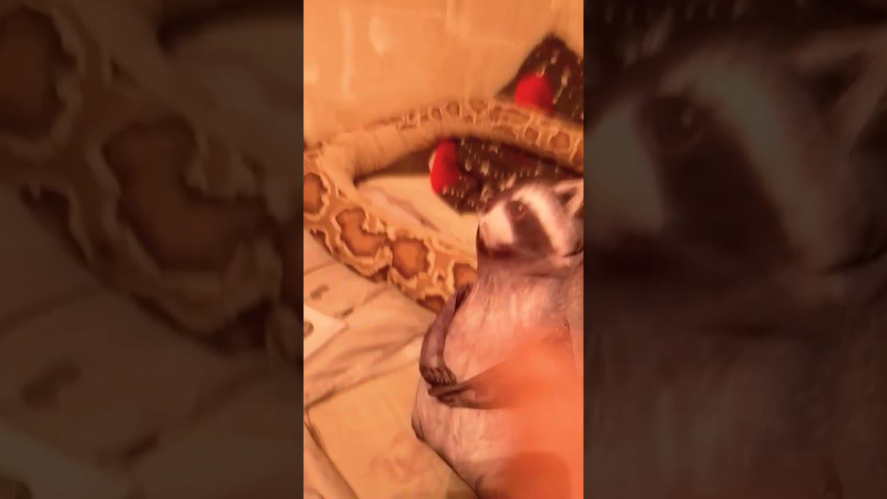 когда вернулся поздно часть 2