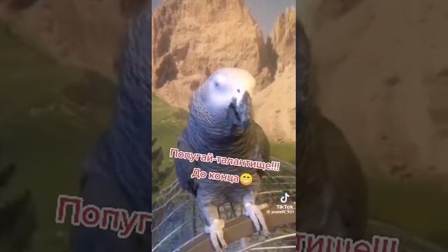 a0f930605d6b3b5bdd1c6bbf41eda019.mp4