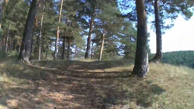 Разгуляевский