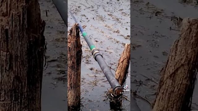 2022-11-02-154612055.mp4