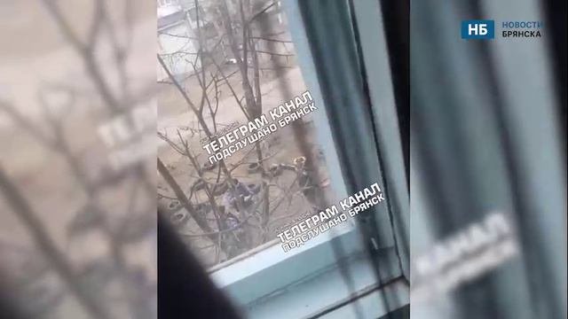 В Брянске рядом с жилыми домами мужчина стрелял по птицам из пневматического пистолета