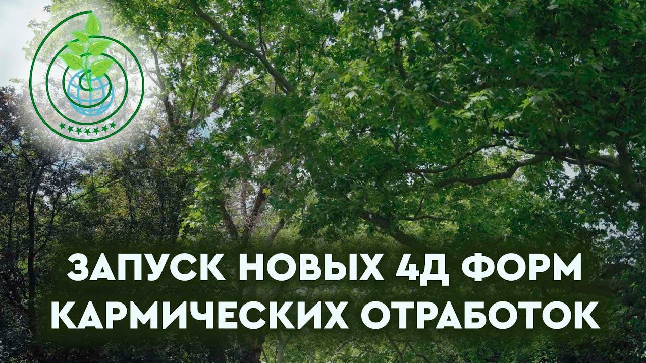 Контактёры-экологи. Запуск новых 4Д форм КАРМИЧЕСКИХ ОТРАБОТОК
