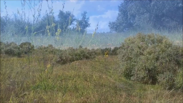 ЛЕТНЯЯ ПРОГУЛКА ВДОЛЬ ДНЕСТРОВСКОГО ЛИМАНА