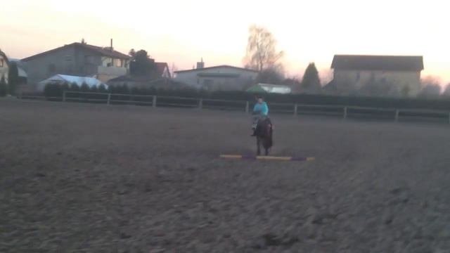 Мои первые шаги в конный спорт 2 (канал Kristina&Bell)