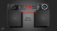 Sony DSC RX100 VI vs Sony α6000