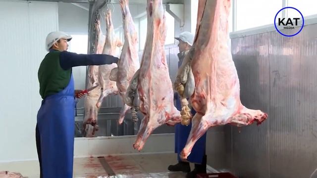 В Кыргызстане стали производить больше мяса, но дешевле оно не станет