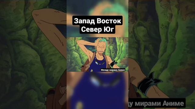 Куда идти? #аниме #ванпис #луффи #зоро #чоппер #робин #anime #onepiece #luffy #zoro #chopper #robin