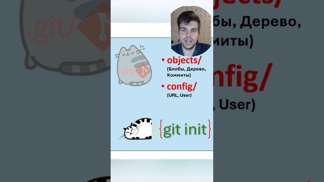 git init && на котах #git #it #программирование