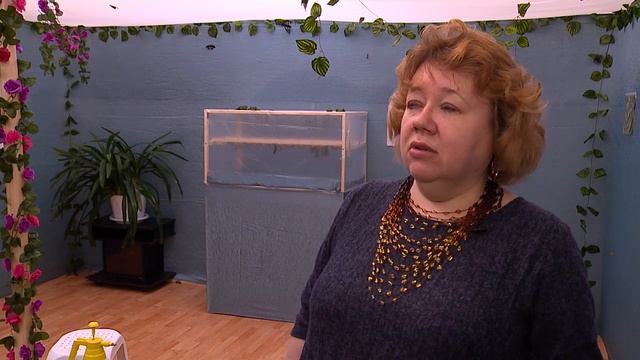 ВЫСТАВКА БАБОЧЕК 04.03.2019