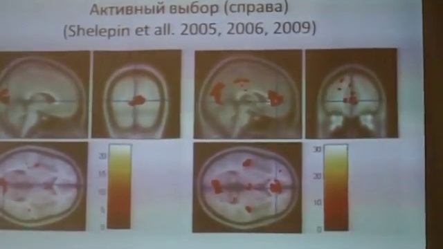 Шелепин Нейроиконика