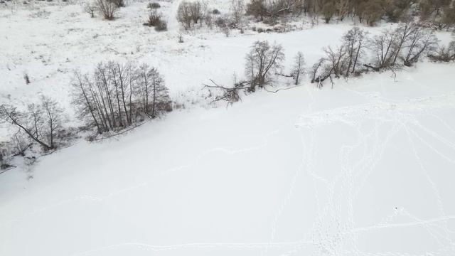 ЩУКИ СХОДЯТ С УМА ОТ ЭТОЙ ПРИМАНКИ. Хватают ее и сгибают удочку. Рыбалка на балансир и жерлицы 2023