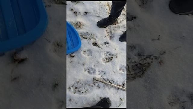 неудачные кадры