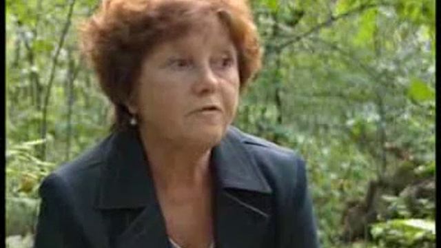 Этюды соционики все 3 части