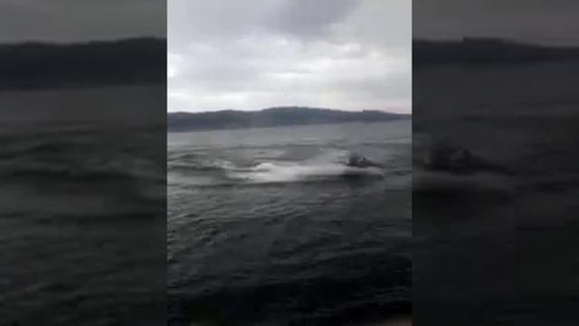 Кавасаки ультра 150 на нугушском водохранилище.