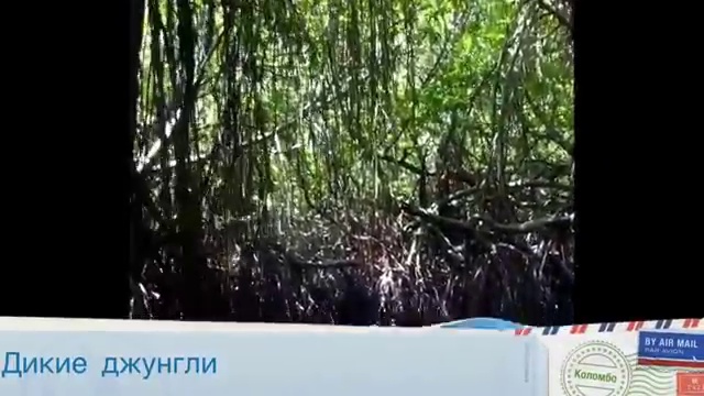 Волшебная Шри-Ланка