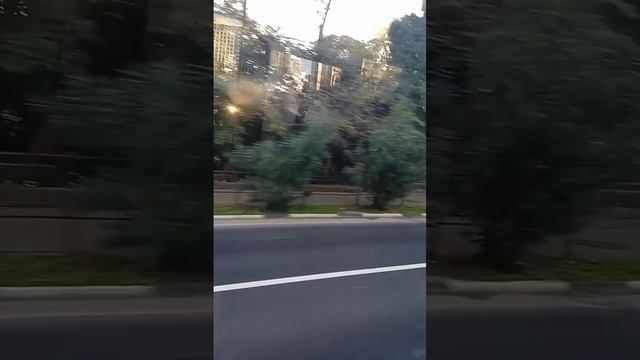 Поездка по городу Сочи🌴