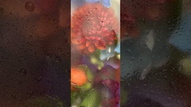 Цикл Дорога в Вечность. Адвайта. Рам Цзы Приятие того что есть 68 42 адвайта дзен философия