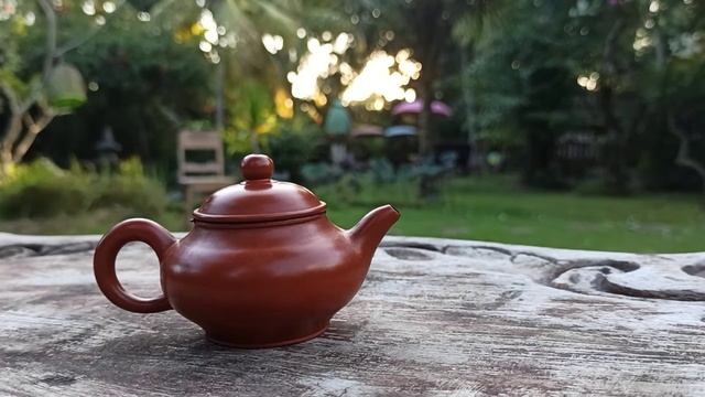 Как выбрать правильный чайник! Чайное искусство!