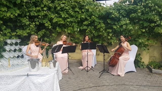 Струнный квартет на свадьбе. фрагмент Маленькой ночной серенады В.Моцарта 2