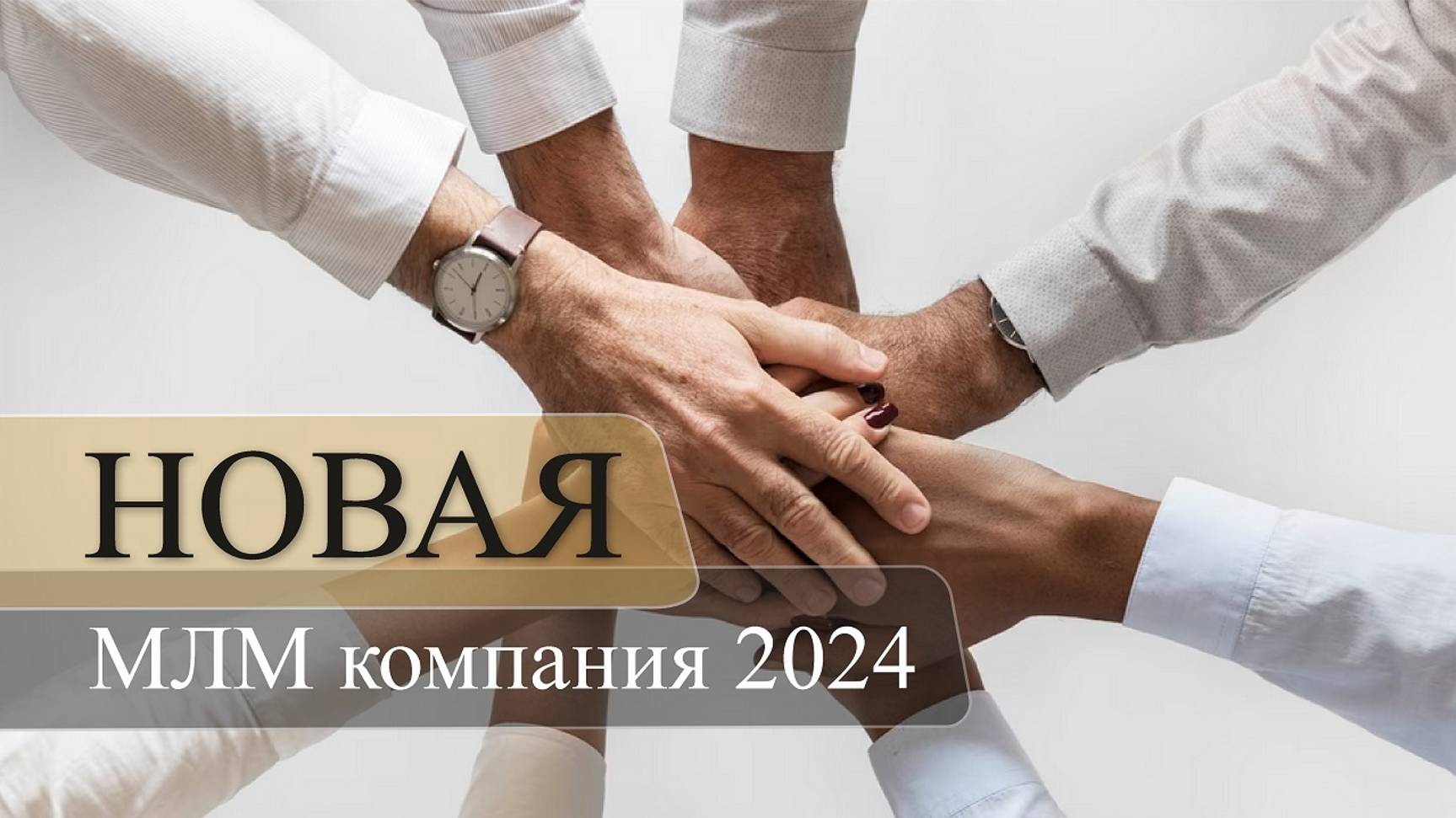 Новая МЛМ компания 2024 | Новая сетевая компания Minternational | Сетевой маркетинг 2024.