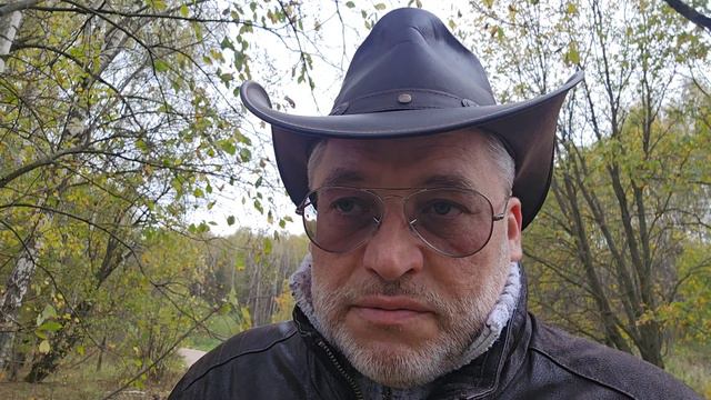 Наречие, прилагательное или слово категории состояния?
