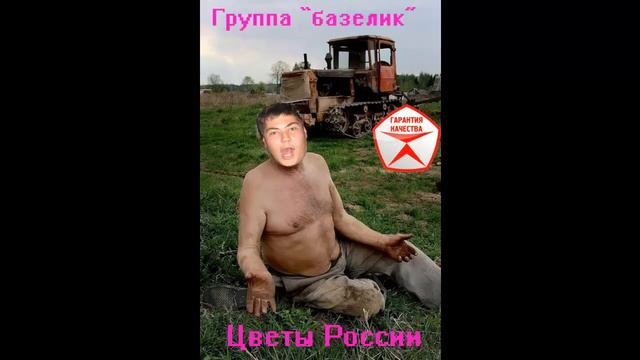 базелик - Некролилиии