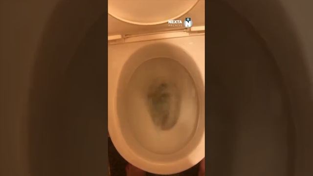 Каждый сам решит, что с этим делать!