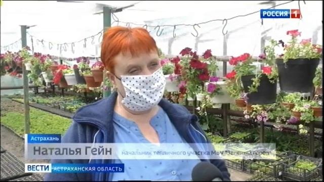 В Астрахани готовятся к масштабной высадке зелёных насаждений