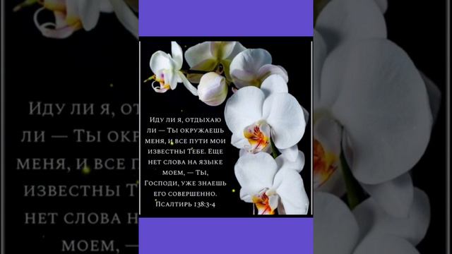 Доброй и спокойной ночи! Христианское пожелание!