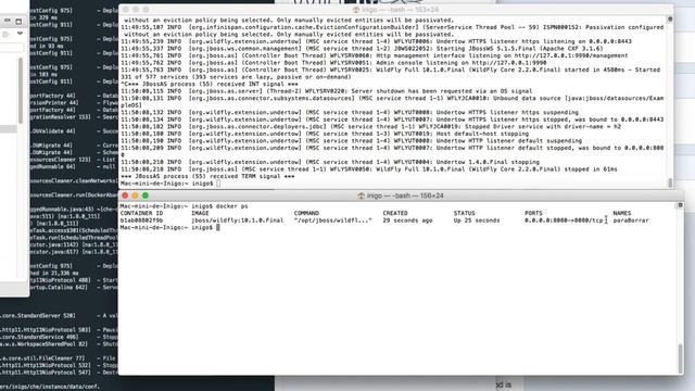 Docker delete: ejemplos ?