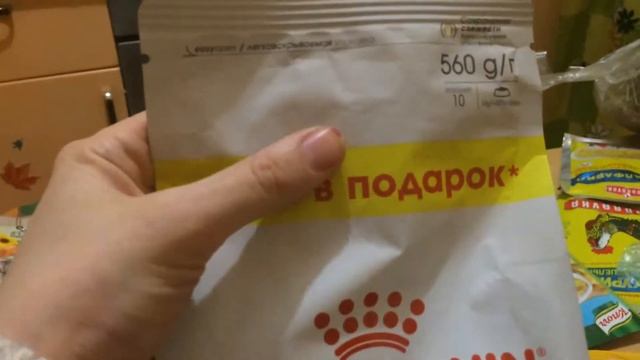 влог/мамены покупки\июнь2017/Перекресток/Зоомагазин/Дымка хулиганит