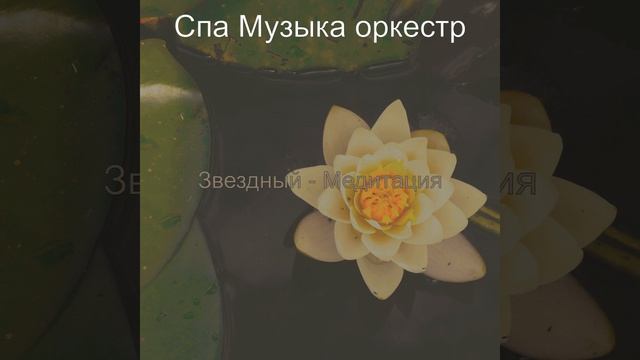 Музыка (Расслабление)