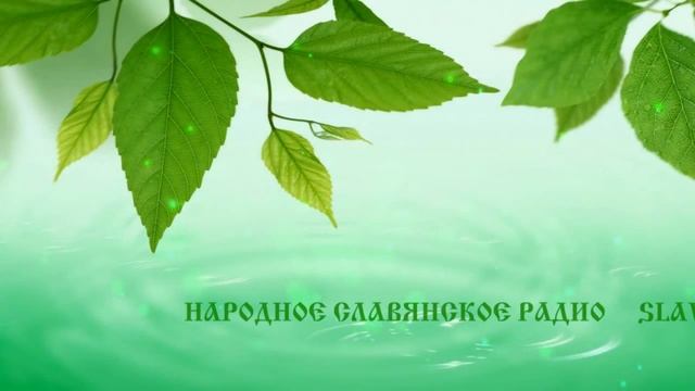 Древние артефакты   каменные диски 5