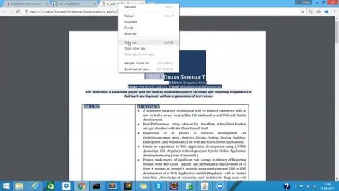 Job portal Java/Spring MVC/Security/Jersey